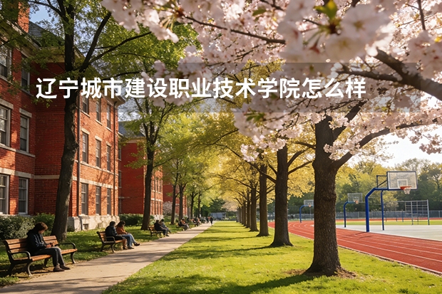 辽宁城市建设职业技术学院怎么样