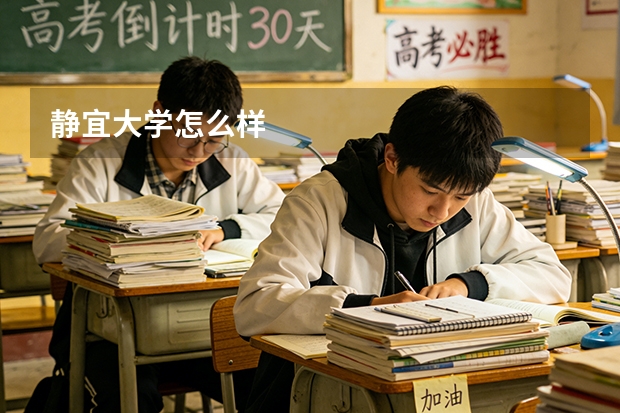 静宜大学怎么样