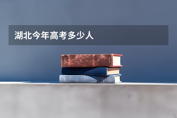 湖北今年高考多少人