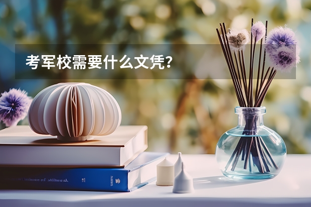 考军校需要什么文凭？