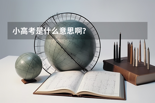 小高考是什么意思啊?