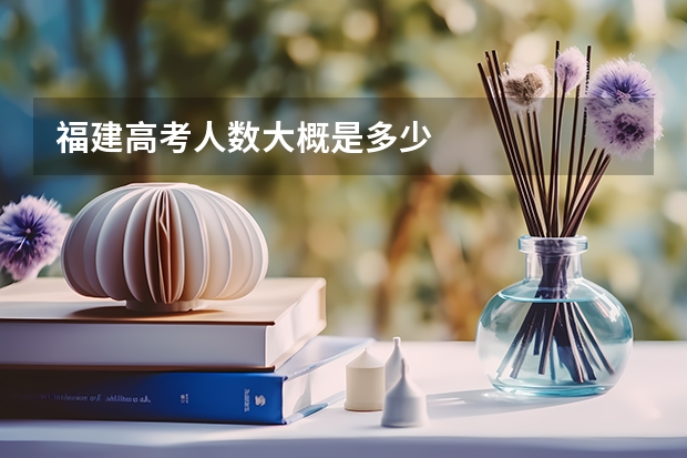 福建高考人数大概是多少