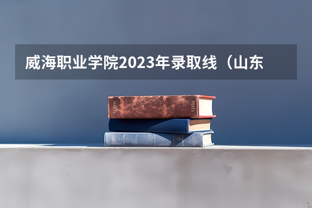 威海职业学院2023年录取线（山东城市建设学院单招分数线）