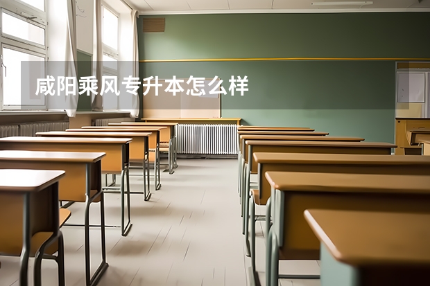 咸阳乘风专升本怎么样