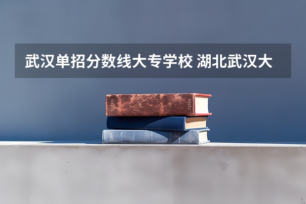 武汉单招分数线大专学校 湖北武汉大专分数线