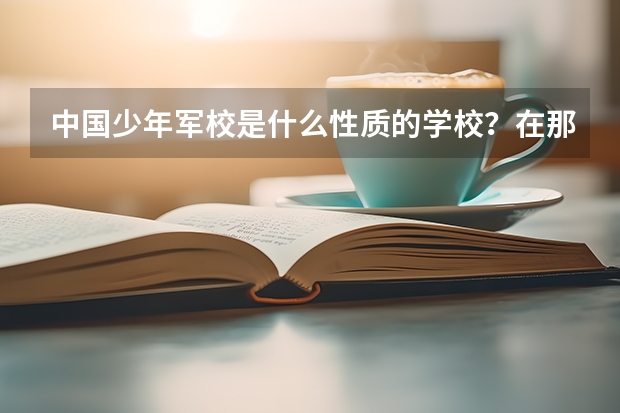 中国少年军校是什么性质的学校?在那当教官有军衔么?