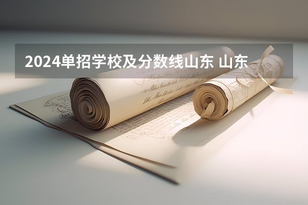 2024单招学校及分数线山东 山东文化产业职业学院单招分数线