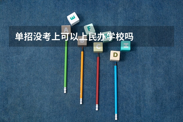单招没考上可以上民办学校吗