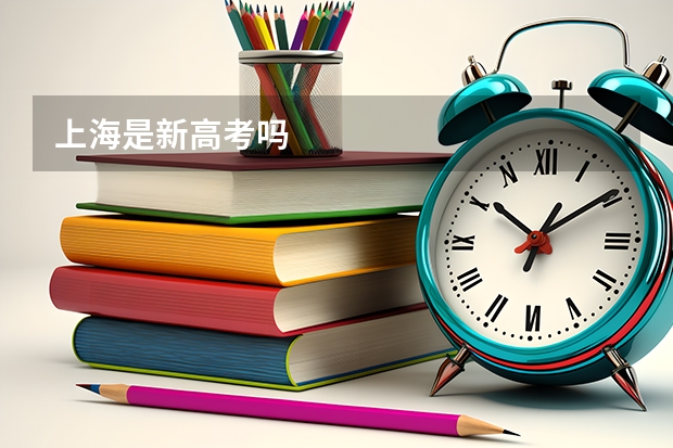 上海是新高考吗