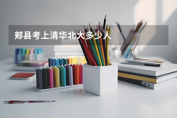 郏县考上清华北大多少人