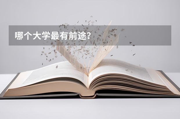 哪个大学最有前途?