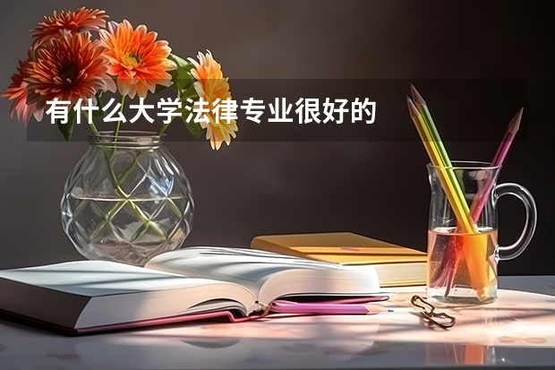 有什么大学法律专业很好的