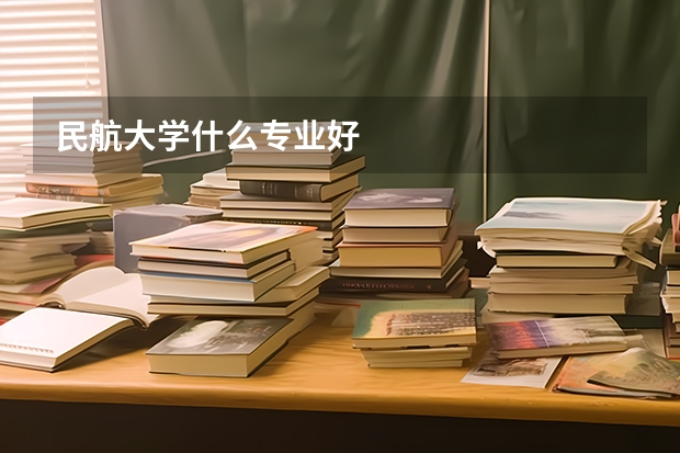 民航大学什么专业好