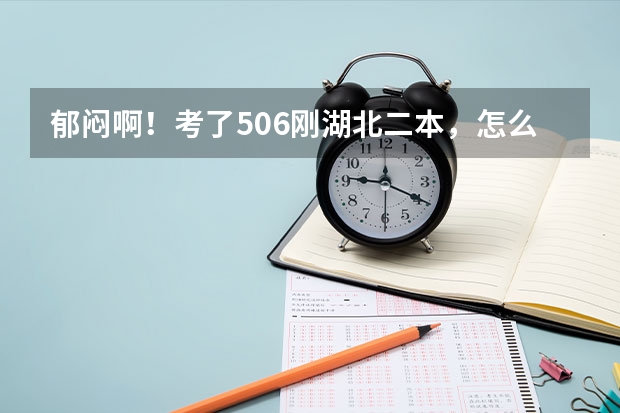 郁闷啊！考了506刚湖北二本，怎么办啊？急啊