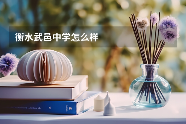 衡水武邑中学怎么样