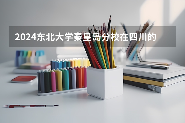 2024东北大学秦皇岛分校在四川的招生方案
