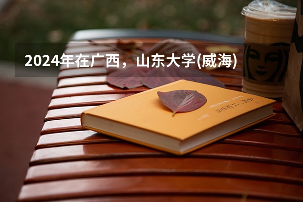 2024年在广西，山东大学(威海)如何招生