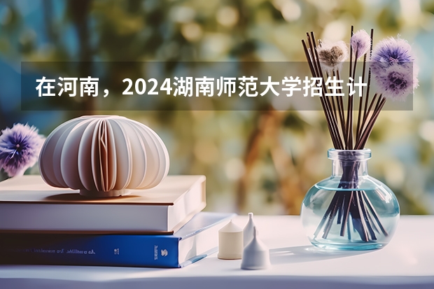 在河南，2024湖南师范大学招生计划如何