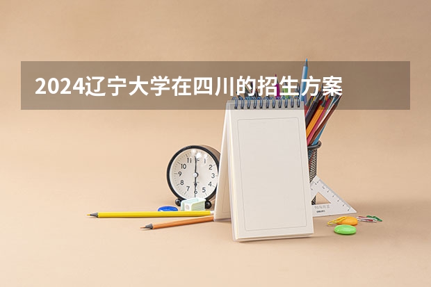 2024辽宁大学在四川的招生方案