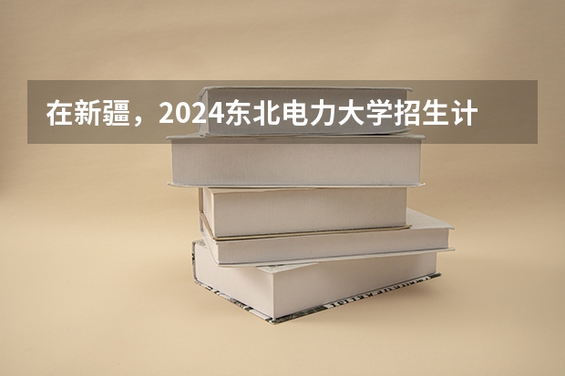 在新疆，2024东北电力大学招生计划如何