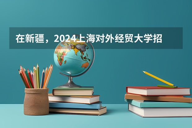 在新疆，2024上海对外经贸大学招生计划如何