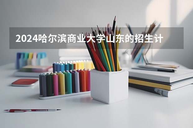 2024哈尔滨商业大学山东的招生计划