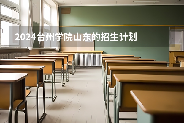 2024台州学院山东的招生计划