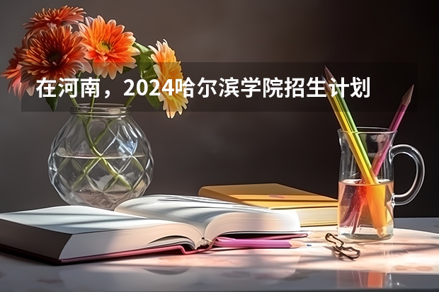 在河南，2024哈尔滨学院招生计划如何