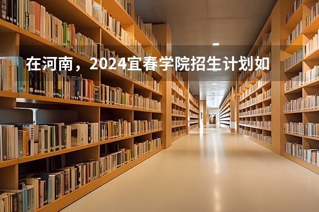 在河南，2024宜春学院招生计划如何