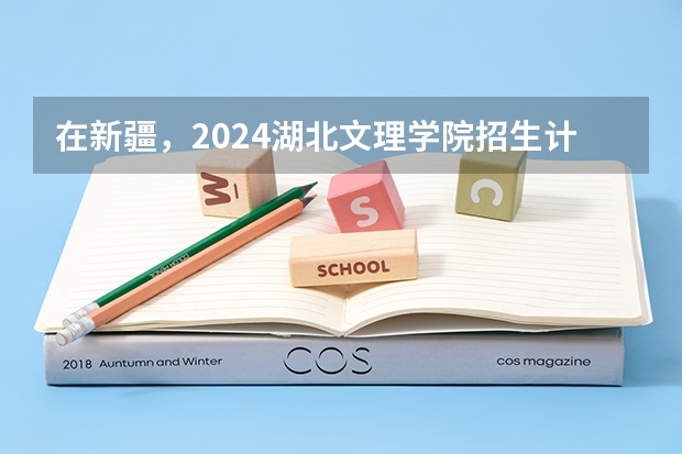 在新疆，2024湖北文理学院招生计划如何