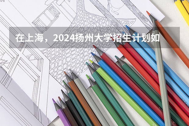 在上海，2024扬州大学招生计划如何