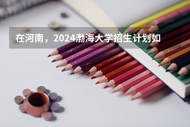 在河南，2024渤海大学招生计划如何