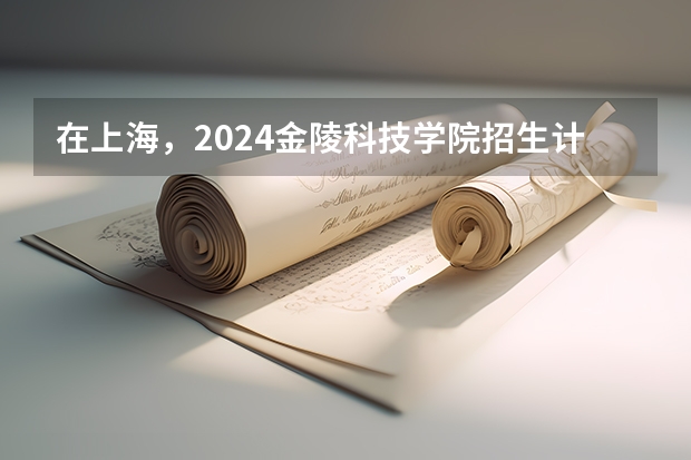 在上海，2024金陵科技学院招生计划如何
