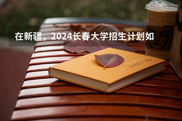 在新疆，2024长春大学招生计划如何