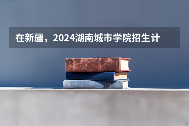 在新疆，2024湖南城市学院招生计划如何