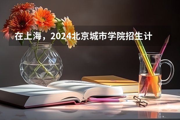 在上海，2024北京城市学院招生计划如何