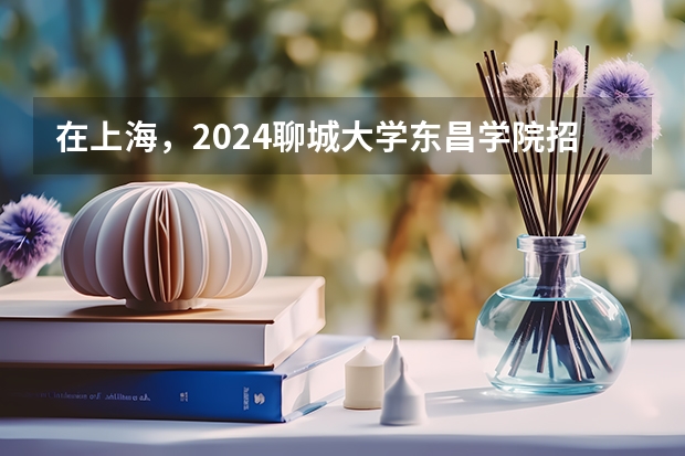在上海，2024聊城大学东昌学院招生计划如何