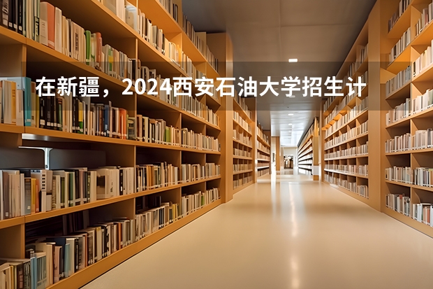 在新疆，2024西安石油大学招生计划如何
