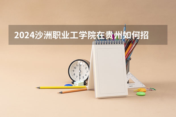 2024沙洲职业工学院在贵州如何招生