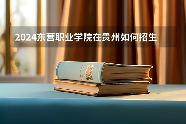 2024东营职业学院在贵州如何招生