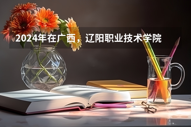 2024年在广西，辽阳职业技术学院如何招生