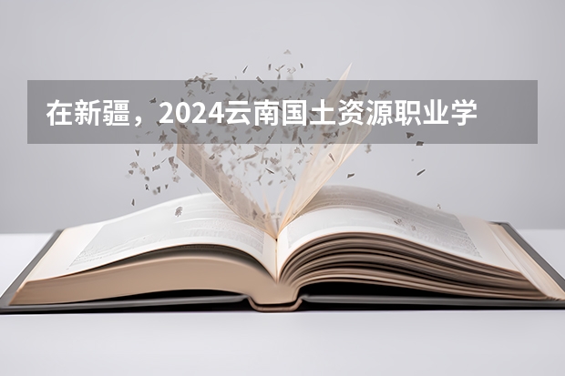 在新疆，2024云南国土资源职业学院招生计划如何