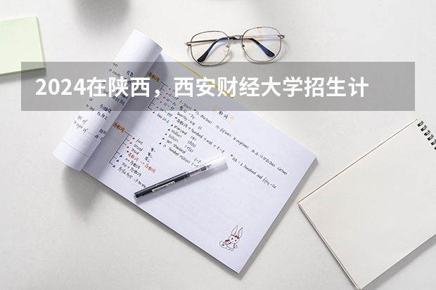 2024在陕西，西安财经大学招生计划如何