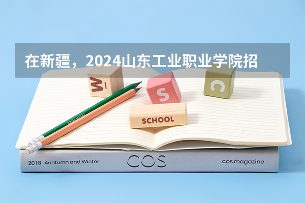 在新疆，2024山东工业职业学院招生计划如何