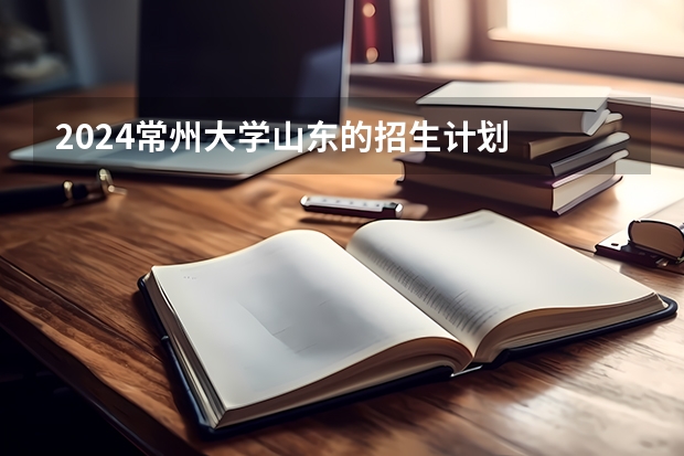 2024常州大学山东的招生计划