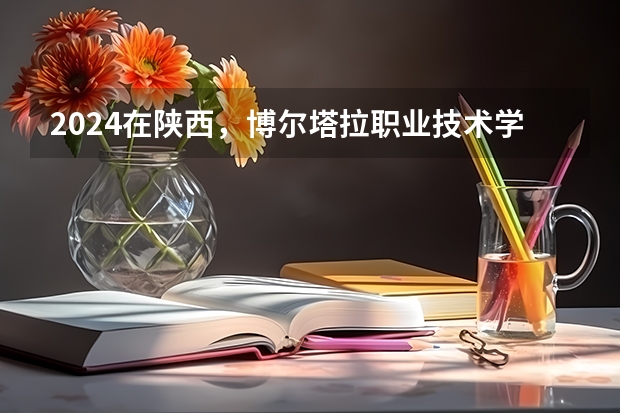 2024在陕西，博尔塔拉职业技术学院招生计划如何