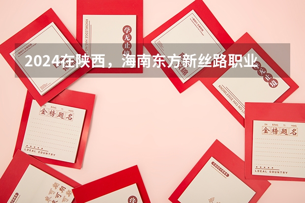 2024在陕西，海南东方新丝路职业学院招生计划如何