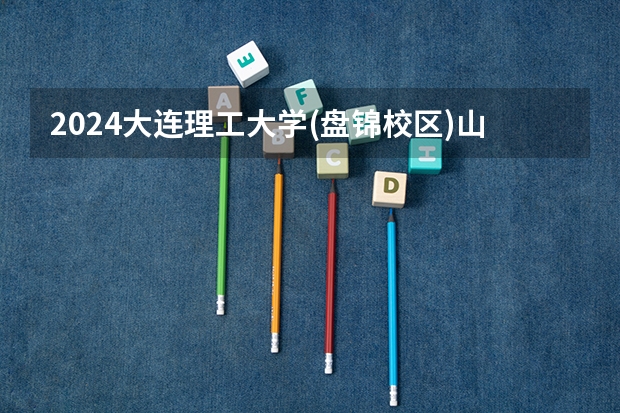 2024大连理工大学(盘锦校区)山东的招生计划