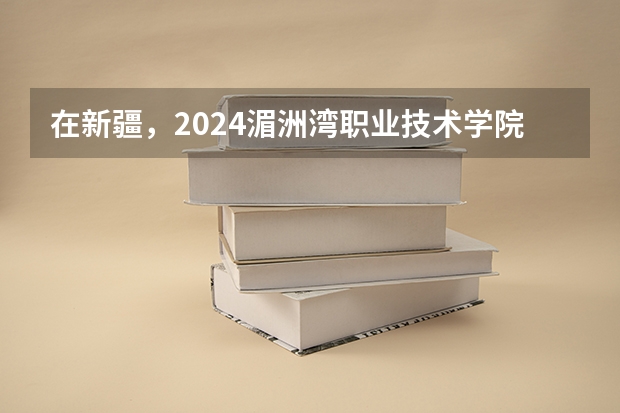 在新疆，2024湄洲湾职业技术学院招生计划如何