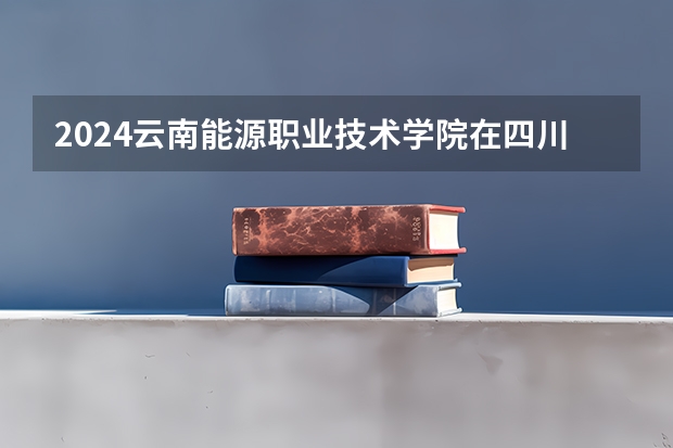 2024云南能源职业技术学院在四川的招生方案